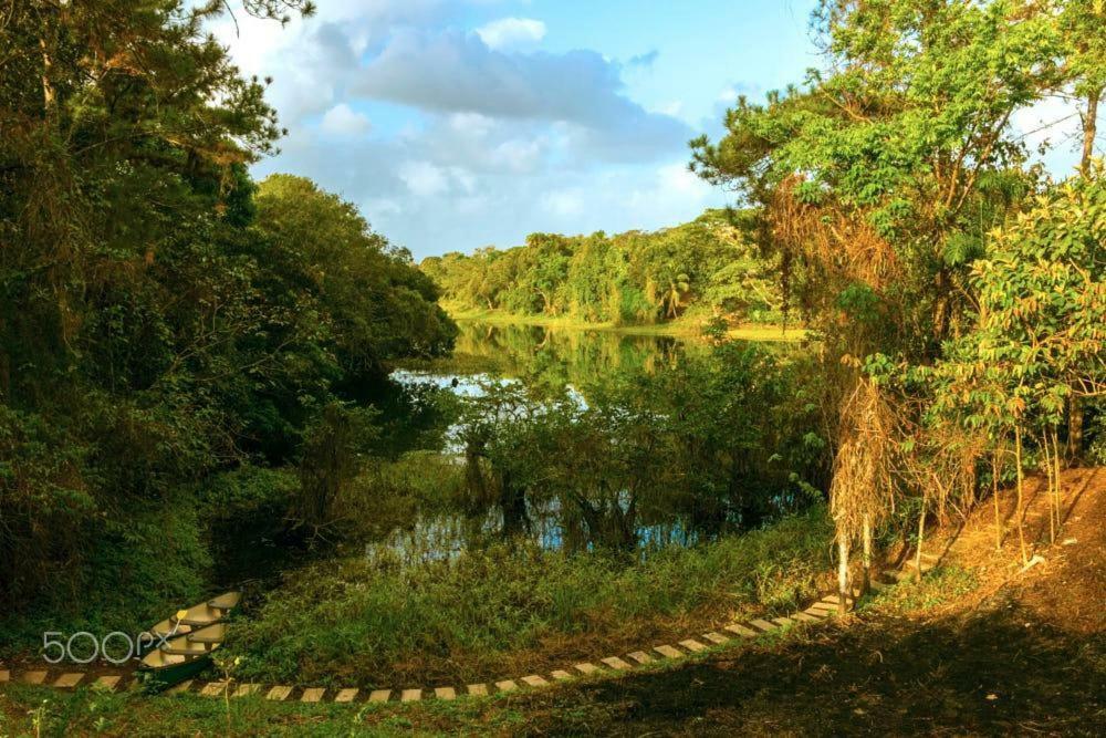 Hotel Jungle Eco Reserve Colon Zewnętrze zdjęcie