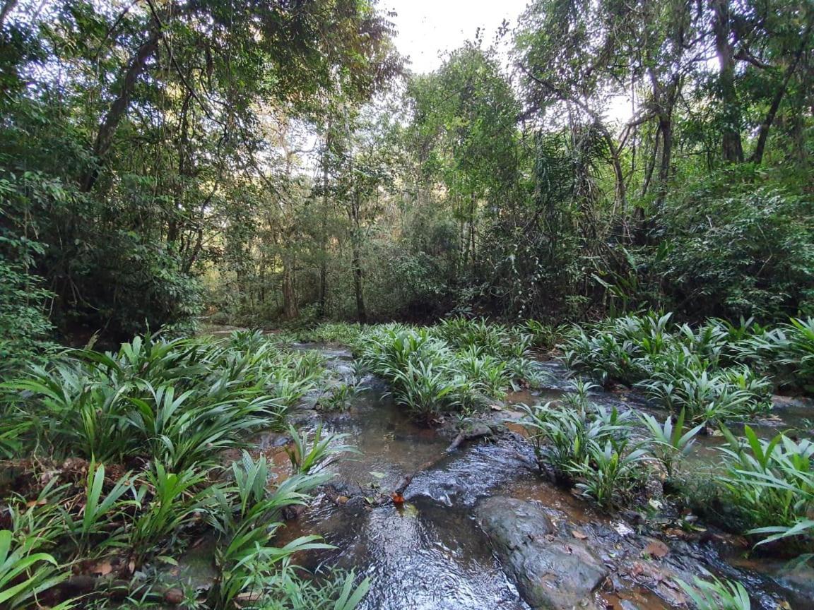 Hotel Jungle Eco Reserve Colon Zewnętrze zdjęcie