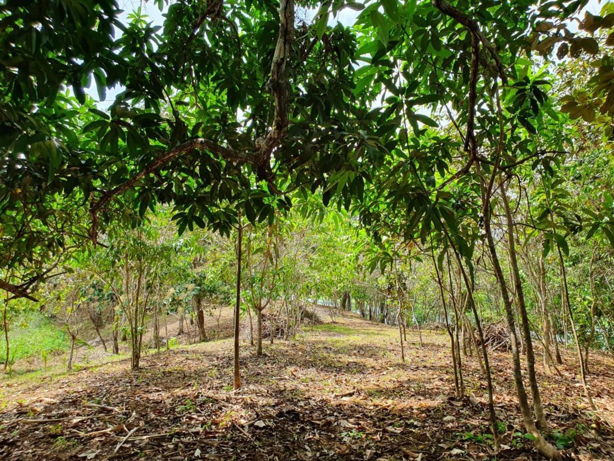 Hotel Jungle Eco Reserve Colon Zewnętrze zdjęcie