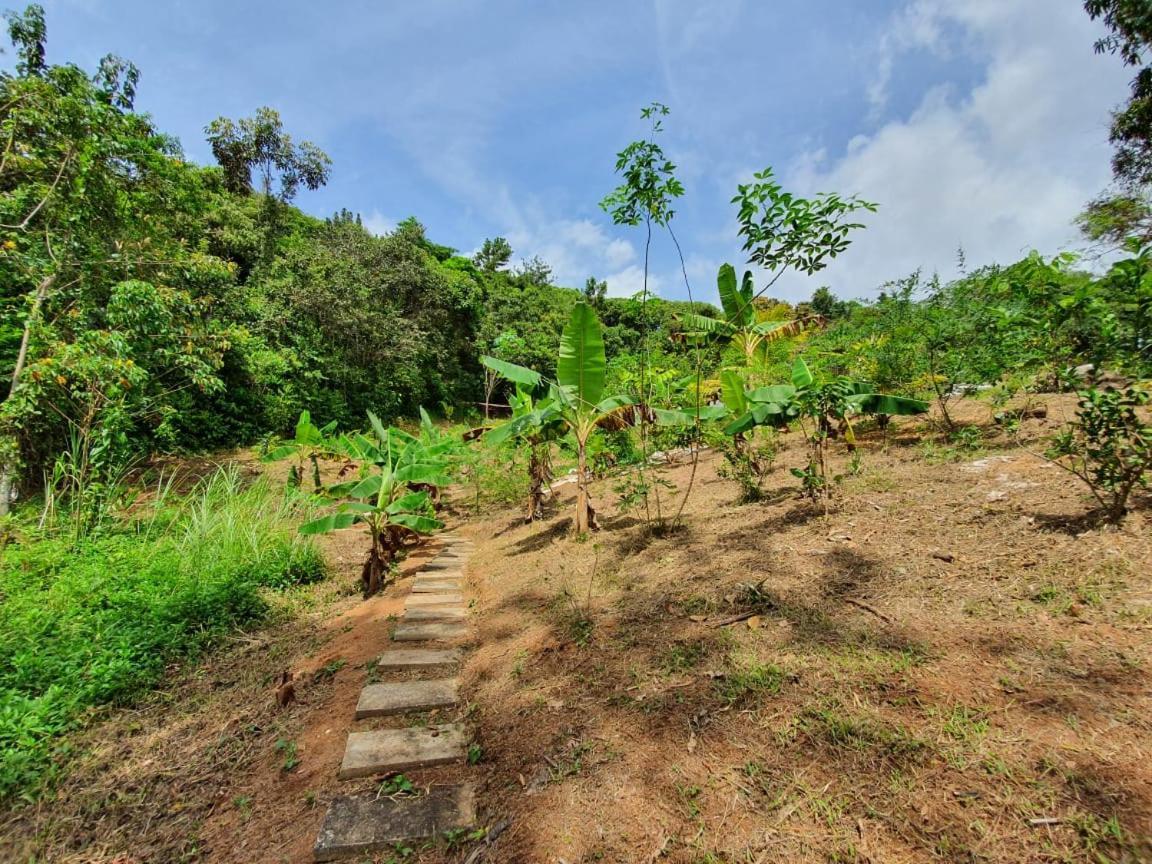 Hotel Jungle Eco Reserve Colon Zewnętrze zdjęcie
